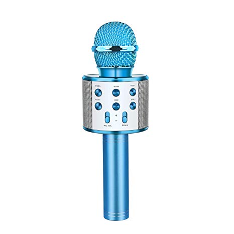 Dreamingbox Microphone for Kids,Suitable for Indoor&Outdoor Use - Best Gifts