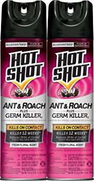 Hot Shot Ant & Roach Plus Germ Killer2 (Fresh Floral Scent Aerosol) (HG-26301) (2 - 17.5 oz)