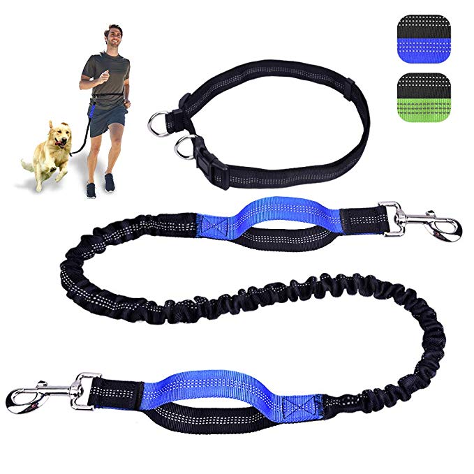 KiddyWoof Retractable Dog Leash, 6.25ft Hands-Free Dog Leash with Adjustable Waist Belt and Strong Dual Handle Bungees for Large Dogs up to 150 lbs, Reflective Dog Leash, Same Security at Night