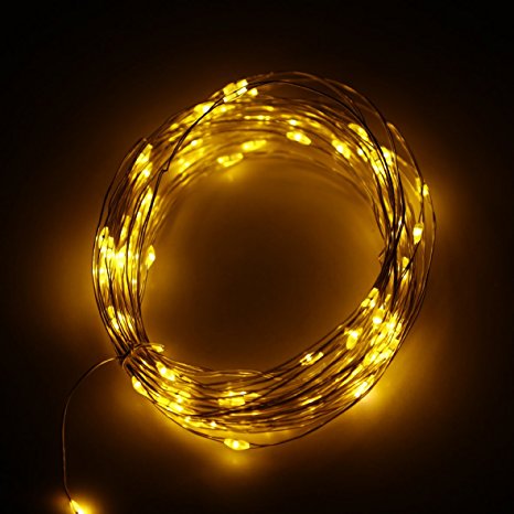 ER CHEN(TM)Indoor and Outdoor Waterproof Battery Operated 100 LED String Lights on 33 Ft Long Ultra Thin Siliver Coating Copper String Wire with Timer (Warm White)