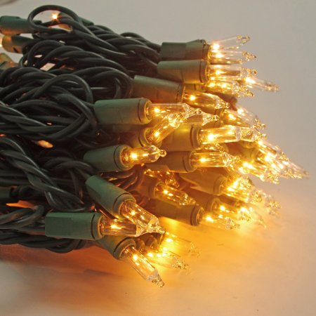 On'h Christmas Lights 100-Count Clear Mini String Lights Set Indoor Outdoor Lighting for Christmas Tree Party Wedding Home Bedroom Grapevine Decoration 100 Bulbs Green Wire