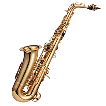 Windsor MI-1005 Student Alto Saxophone Outfit Including Case