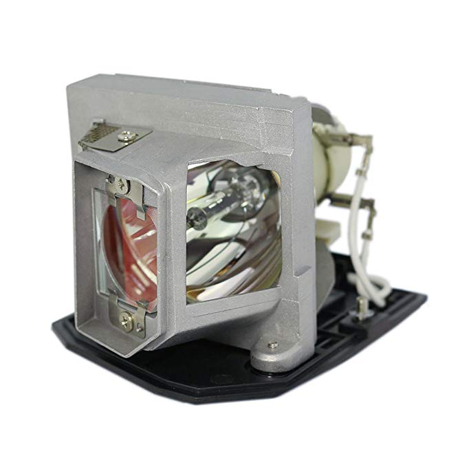 LYTIO Premium for Optoma BL-FU240A Projector Lamp with Housing BLFU240A (Original Philips Bulb Inside)