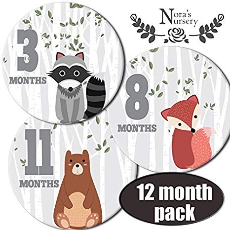 Woodland Monthly Milestone Sticker Pack for Baby Boy & Girl Stickers for Newborn, 0-12 Months Photo Picture Props for Infant Onesie, Unisex Registry Shower Gift & Scrapbook Photo Memory Keepsake