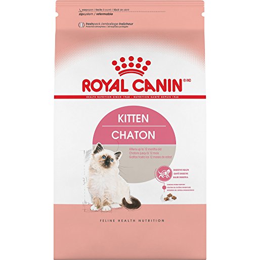 ROYAL CANIN FELINE HEALTH NUTRITION Kitten dry cat food