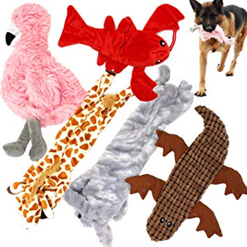 Jalousie 5 Pack Dog Squeaky Toys No Stuffing Dog Plush Toy for Small Medium Large Dog Pets