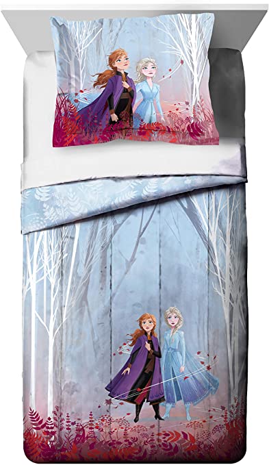 Jay Franco Disney Frozen 2 Forest Spirit Twin/Full Comforter & Sham Set, Mutli