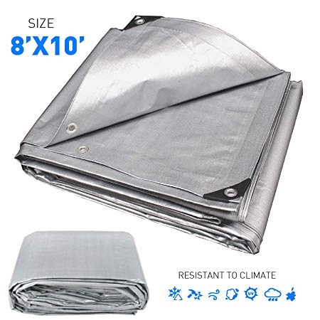 Hercules Tent Shelter Tarp Cover Waterproof Tarpaulin Plastic Tarp Protection Sheet for Con (-8x10-Sliver)