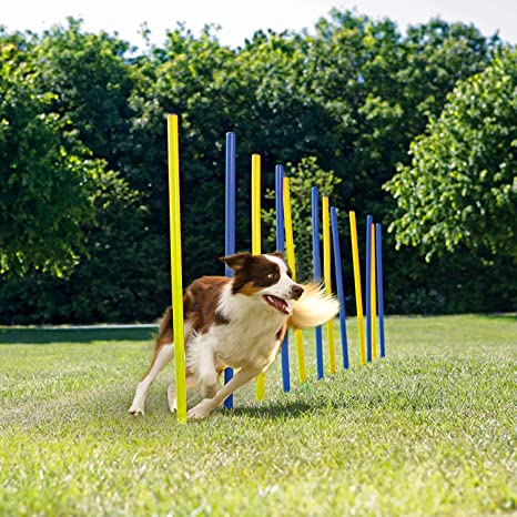 Pet Prime Dog Agility Equipment Set - 12PCS Weave Pole Set, Outdoor Dog Obstacle Agility Training Exercise Equipment Kit