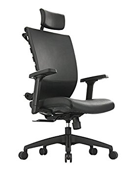 ApexDesk SK Series Ergonomic Leather High-Back Office Chair Adjustable Seat Height, Backrest and Armrest – Black