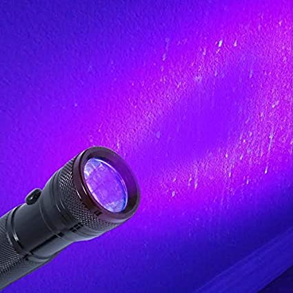 BioFinder The UV LED Flashlight. Super Awesome Pet Urine Detector! Find Pet Stains, Hunt Scorpions, Check for Counterfeit Money & More.
