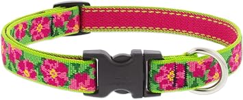 Lupine Dog Collar 3/4" Wide Petunias Design Adjusts from 13" to 22"