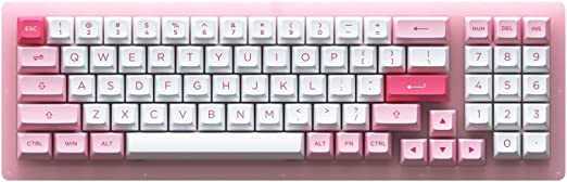 EPOMAKER AKKO ACR98 Mini 78-Key Wired Hotswap Mechanical Gaming Keyboard with Acrylic Case & RGB Backlight, Double-Shot PBT Keycaps, NKRO for Gamers/Mac/Win (AKKO Jelly Pink, Prunus Lannesiana)