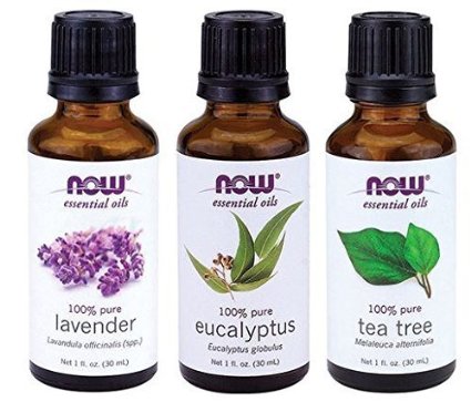 3-Pack Variety of NOW Essential Oils Tea Tree Eucalyptus Lavender