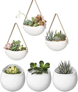 Mkono Set of 6 Wall Mounted Planter and Ceramic Hanging Planter Modern Decorative Flower Plant Pots for Succulent Herb Air Plant Live or Faux Plants Home Office Decor Gift Idea, White