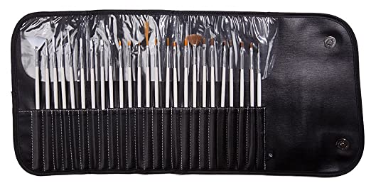 VAGA Professional Nail Art Set Set of 25 Nail Art Brushes With Liners and Dot Dotters