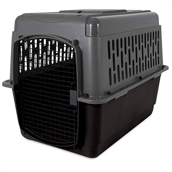 Aspen Pet Porter Travel Kennel