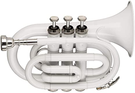 Stagg Trumpet-Pocket, White (WS-TR249S)