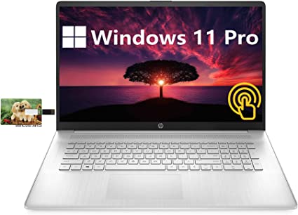 HP [Windows 11 Pro] 17.3" HD Touchscreen Business Laptop, AMD Ryzen 5-5500U, 16GB RAM, 256GB SSD 1TB HDD, HDMI, WiFi, Type-C, Full-Size Keyboard, Numeric Keypad, Long Battery Life, Durlyfish