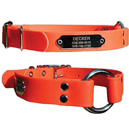 GoTags Sporting Dog Collar with Stainless Steel Personalized Nameplate. Hunting Dog Collar. 100% Waterpoof. No Smell.
