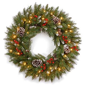 National Tree 24 Inch Frosted Berry Wreath with 50 Clear Lights (FRB-24WLO-1)