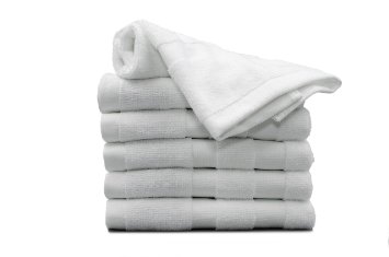 Laguna Blue Antibacterial Microfiber Wash Cloth Towels (6-Pack) White 13" X 13"