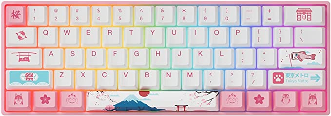 EPOMAKER AKKO 3061S World Tour R2 60% Wired Hotswap Mechanical Gaming Keyboard with RGB Backlight, Dye Sublimation PBT Keycaps, NKRO Programmable for Gamers/Mac/Win (Gateron Orange Switch, 61 Keys)