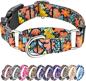 Martingale Collar for Dogs Cute Floral Dog Collar for Small Medium Large Dogs Soft Nylon Adjustable Dog Collars (Flower Grass,Large)