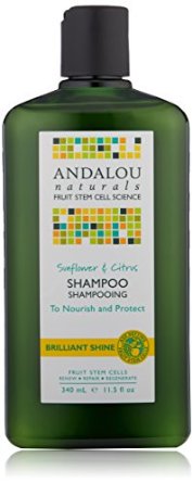 Andalou Naturals Brilliant Shine Shampoo, Sunflower and Citrus, 11.5 Ounce