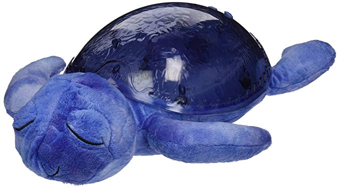 Tranquil Turtle Ocean Blue