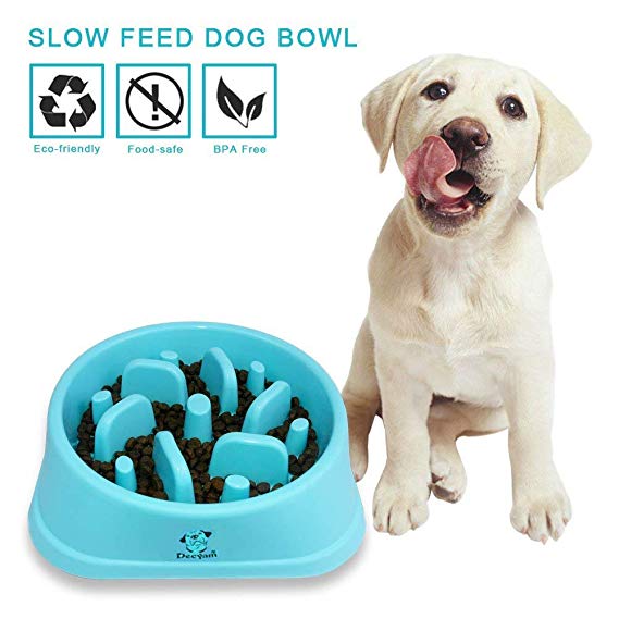 Decyam Pet Fun Feeder Dog Bowl Slow Feeder, Bloat Stop Dog Food Bowl Maze Interactive Puzzle Cat Bowl Non Skid (blue)