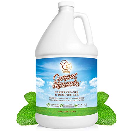 Carpet Miracle - Concentrated Machine Shampoo, Deep Stain and Odor Remover Solution, Deodorizing Formula (1 Gallon)