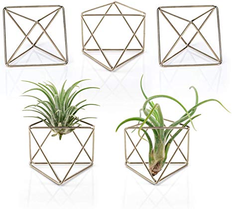 Mkono 5 Packs Air Plant Holder Modern Geometric Planter Tiny Metal Tillandsia Air Ferns Display Stand Mini Tabletop Himmeli Decor with Each Side 2.6" Long for Home, Office and Wedding, Light Bronze