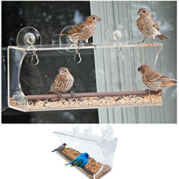 Clear Window Bird Feeder. Suction Cup Design for Best Bird Watching. Squirrel Proof and Easy to Clean. Comfortable Rubber Perch and Sturdy Acrylic Holds Up in All Weather.