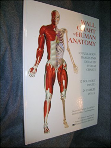 Wallchart of Human Anatomy: 3 D Full-Body Images, Detailed System Charts