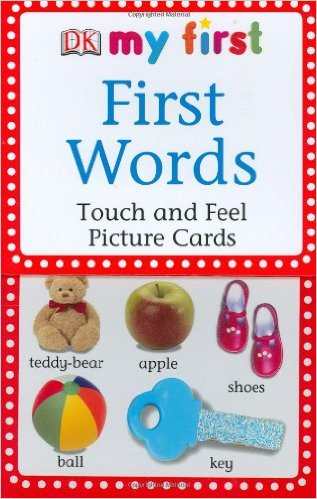 My First Touch and Feel Picture Cards First Words My 1st TampF Picture Cards