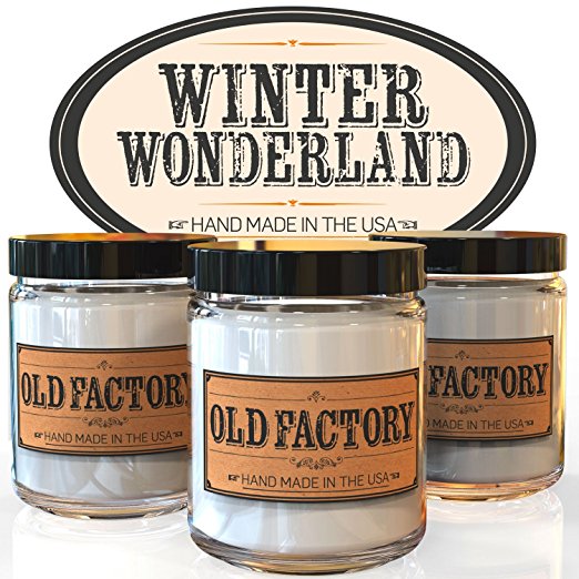Scented Candles - Winter Wonderland - Set of 3: Hot Cocoa, Roasted Chestnut, and First Snow - 3 x 4-Ounce Soy Candles