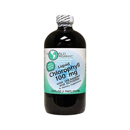 World Organics Liquid Chlorophyll Liquid with Spearmint, 16 Fluid Ounce
