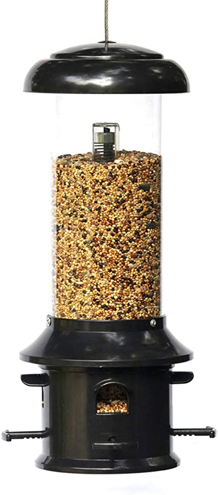 Nature's Rhythm Squirrel Buster Standard Squirrel-Proof Bird Feeder of Weather Guard 4 Classic Ports,1.5lb Seed Capacity