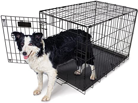 Aspen Pet Single-Door Home Training Crate