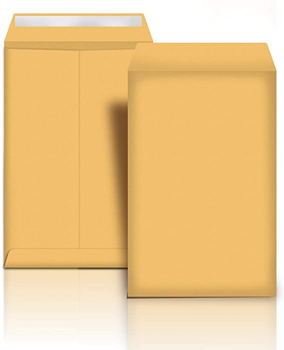 AmazonBasics Catalog Mailing Envelopes, Peel & Seal, 9x12 Inch, Brown Kraft, 100-Pack - AMZP13