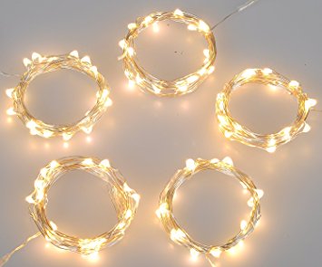 Improved Design with Timer Set of 5 Micro LED 20 Warm White Lights Battery Operated on 7ft Long Silver Color Ultra Thin String Wire, 6 hours on/18 hours off