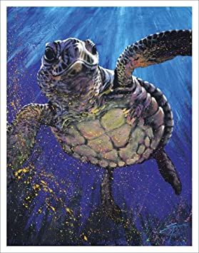 YISUMEI 60x80 Blanket Comfort Warmth Soft Plush Throw for Couch Sea Turtle Fine Decorative Animal