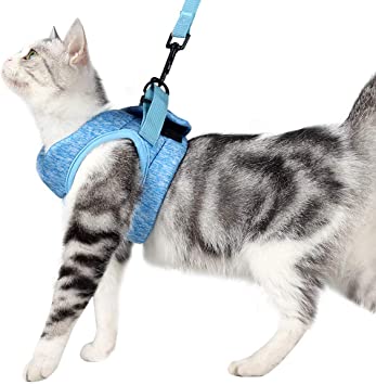 Cat Harness and Leash - Ultra Light Escape Proof Kitten Collar Cat Walking Jacket with Running Cushioning Soft and Comfortable Suitable for Puppies Rabbits