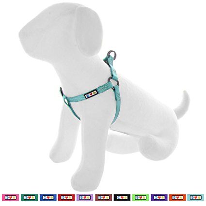 Pawtitas Pet Adjustable Solid Color Step In Puppy / Dog Harness 6 feet Matching Collar and Harness sold separately