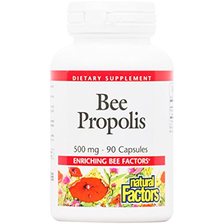 Natural Factors - Bee Propolis Extract 500mg, Immune System Support, 90 Capsules