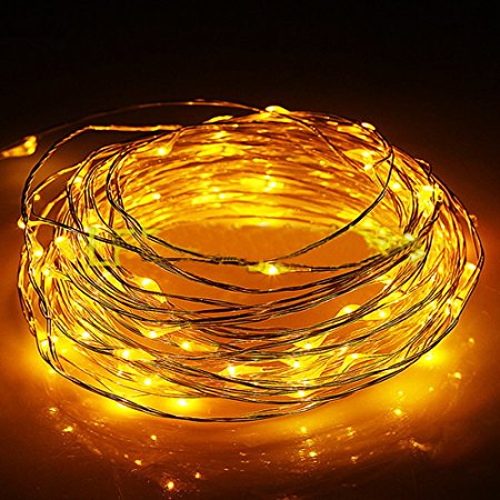 Sunway Lighting Battery Powered Copper Wired 100 LED String Lights, 10m / 33-Feet, Yellow