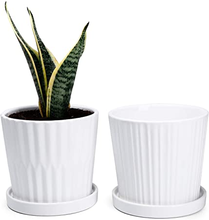 Greenaholics Medium Plant Pots - 6 Inch White Cylinder Ceramic Planters with Attached Saucers, Two Line Grain, Great House and Office Decor, Set of 2