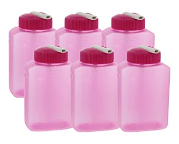 Rubbermaid Litterless Juice Box w/Sipping Spout – Reusable Water Bottles for Kids & Adults - BPA Free, Freezer & Dishwasher Safe - Great for Juices, Water, Lunch Box – 8.5oz, Dragon Berry (6 Pack)