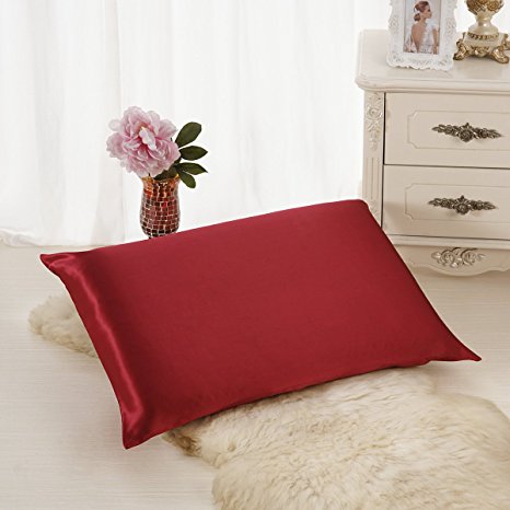 ALASKA BEAR - Natural Silk Pillowcase, Hypoallergenic, 19 momme, 600 thread count 100 percent Mulberry Silk, Queen Size with hidden zipper(Burgundy red)